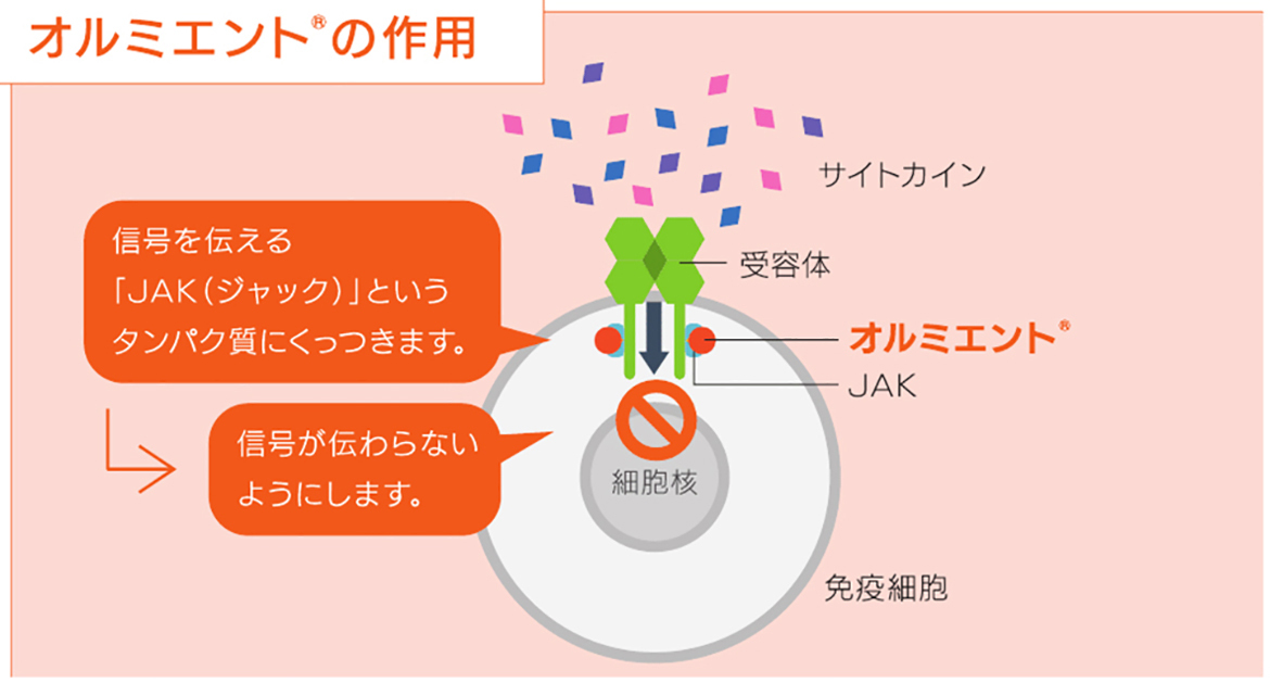 オルミエントRの作用